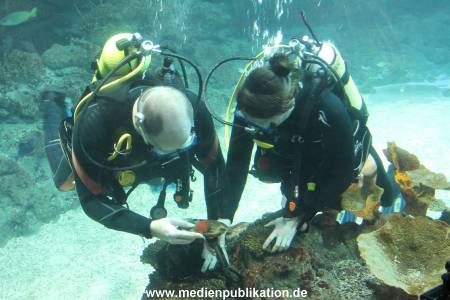 Hagenbeck Inventur 29122015 024