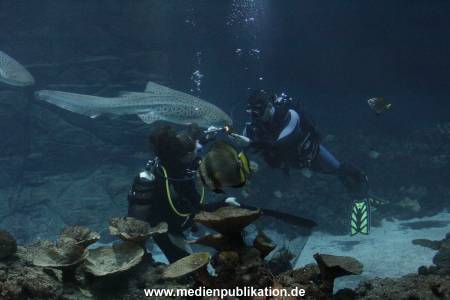 Hagenbeck Inventur 12012018 017