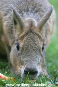 Hagenbeck 10072005 013