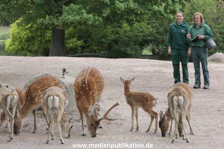 Hagenbeck Inevntur 07052015 002