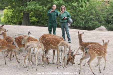 Hagenbeck Inevntur 07052015 003