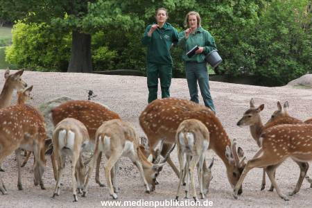 Hagenbeck Inevntur 07052015 004