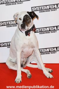 Systemfehler 26062013 087