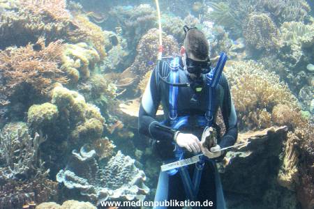 Hagenbeck Inventur 29122016 010
