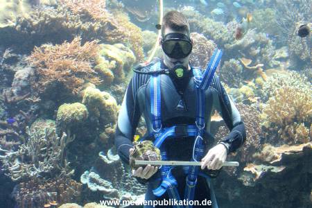 Hagenbeck Inventur 29122016 014
