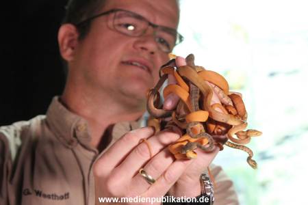 Hagenbeck Inventur 29122016 025