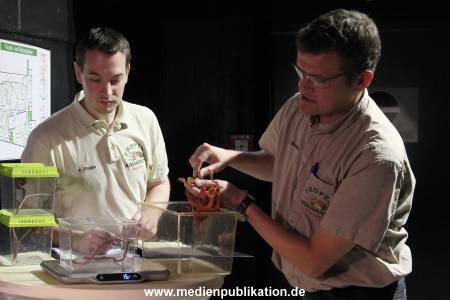 Hagenbeck Inventur 29122016 031