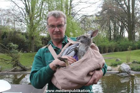 Hagenbeck 11042014 022