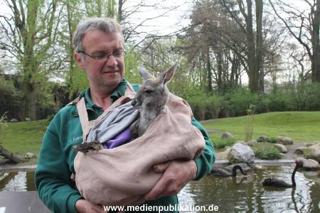 Hagenbeck 11042014 025