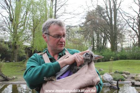 Hagenbeck 11042014 030