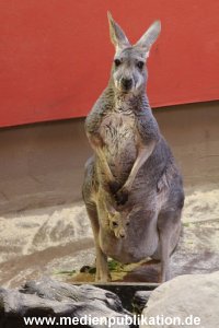 Hagenbeck 14012014 006