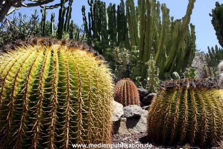 Palmitos Park GC2013 053