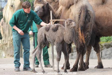Hagenbeck 11042014 012