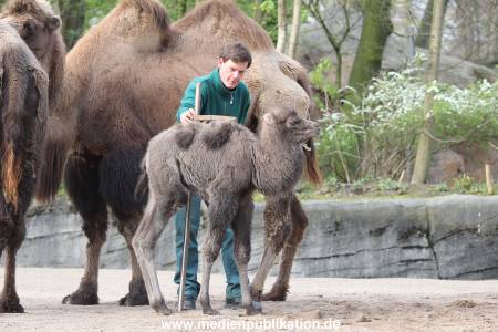 Hagenbeck 11042014 018