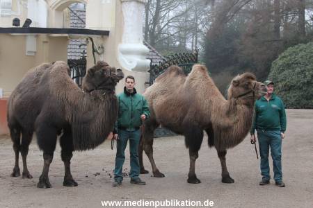 Hagenbeck Inventur 02032012 009