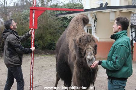 Hagenbeck Inventur 02032012 011