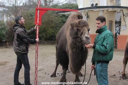 Hagenbeck Inventur 02032012 014