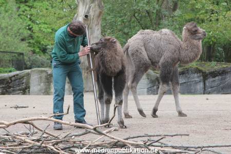 Hagenbeck Inventur 03052016 001