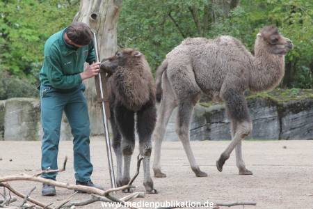 Hagenbeck Inventur 03052016 002