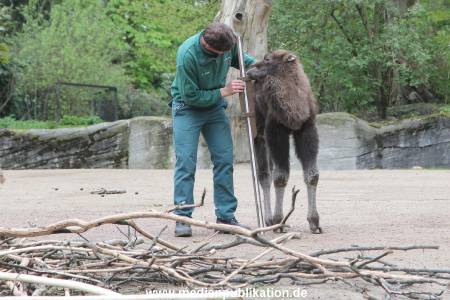 Hagenbeck Inventur 03052016 003