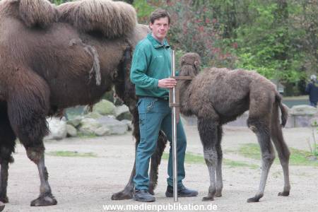 Hagenbeck Inventur 03052016 005