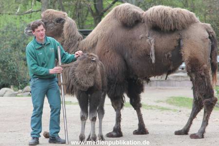 Hagenbeck Inventur 03052016 006