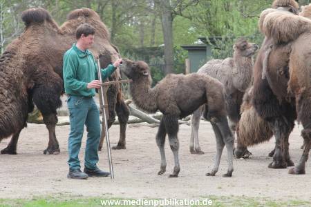 Hagenbeck Inventur 03052016 008
