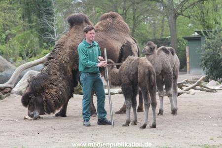 Hagenbeck Inventur 03052016 009