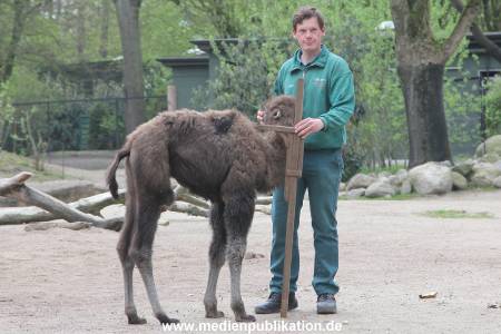Hagenbeck Inventur 03052016 013