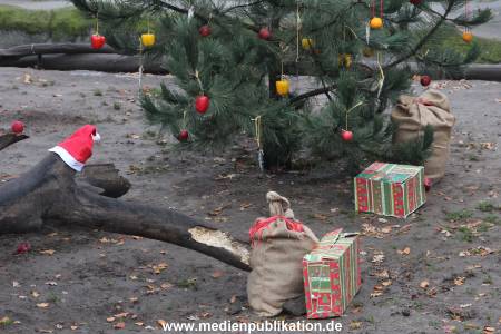 Hagenbeck 05122014 001 001