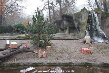 Hagenbeck 05122014 002 002