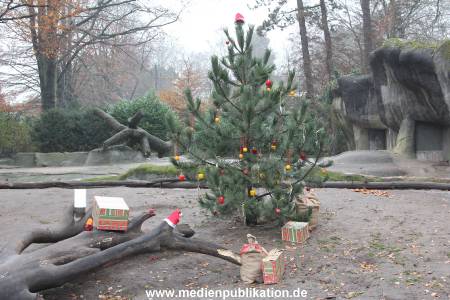 Hagenbeck 05122014 003 003