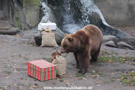 Hagenbeck 05122014 004 004