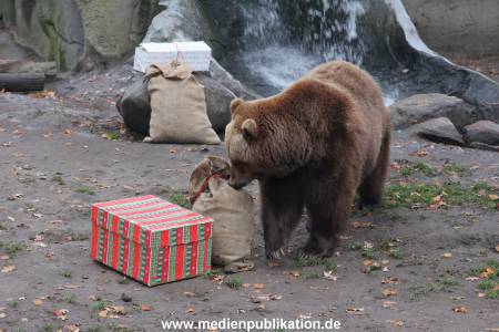 Hagenbeck 05122014 006 006