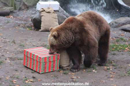 Hagenbeck 05122014 008 008