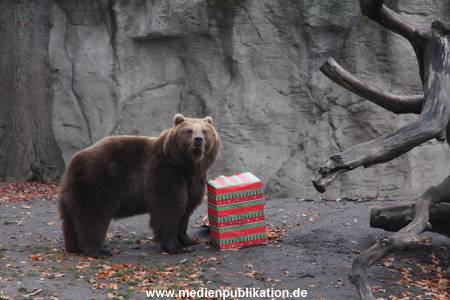 Hagenbeck 05122014 010 010