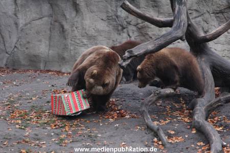 Hagenbeck 05122014 011 011