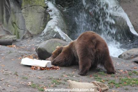 Hagenbeck 05122014 012 012