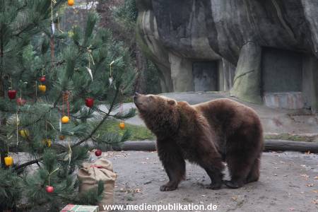 Hagenbeck 05122014 013 013