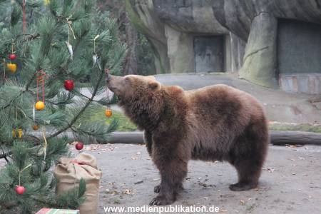 Hagenbeck 05122014 014 014