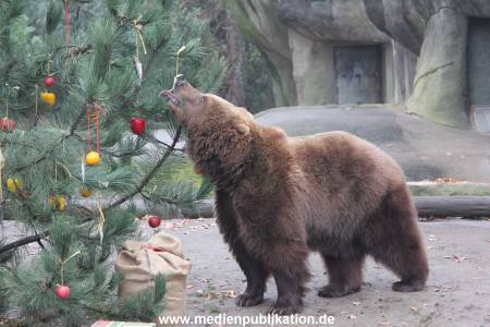 Hagenbeck 05122014 017 017