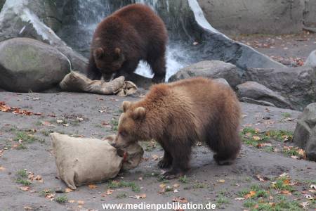 Hagenbeck 05122014 022 022