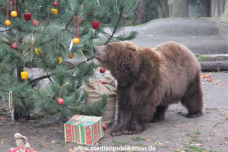 Hagenbeck 05122014 024 024