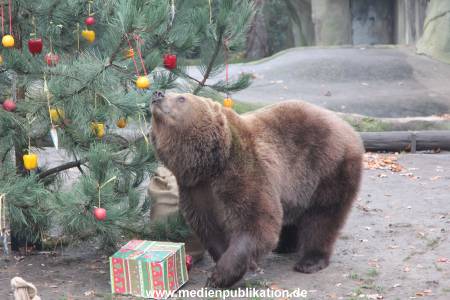 Hagenbeck 05122014 025 025
