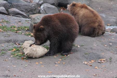 Hagenbeck 05122014 026 026