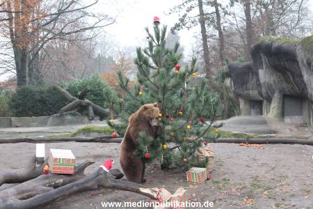Hagenbeck 05122014 027 027