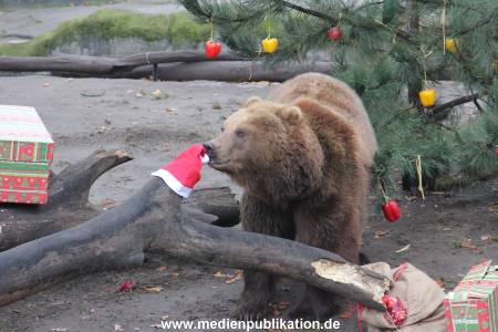 Hagenbeck 05122014 028 028
