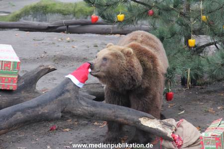 Hagenbeck 05122014 029 029