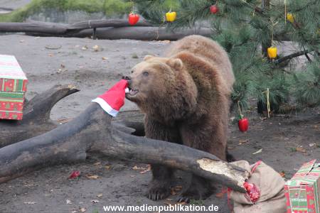 Hagenbeck 05122014 030 030