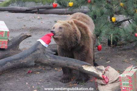 Hagenbeck 05122014 031 031